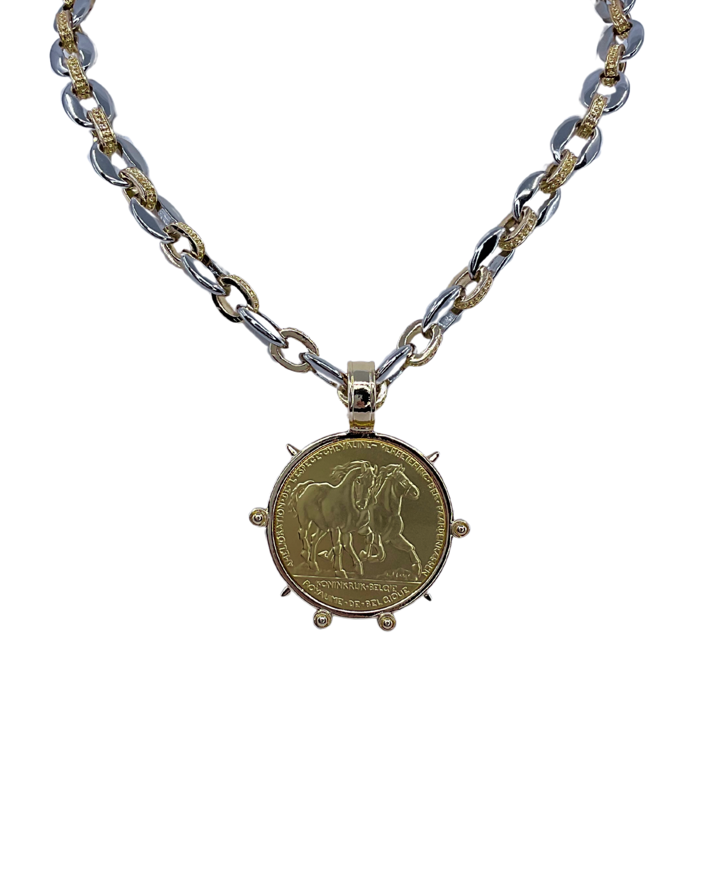 Mixed Metal Chain with Vintage Gold Plated Belgium Horse Coin