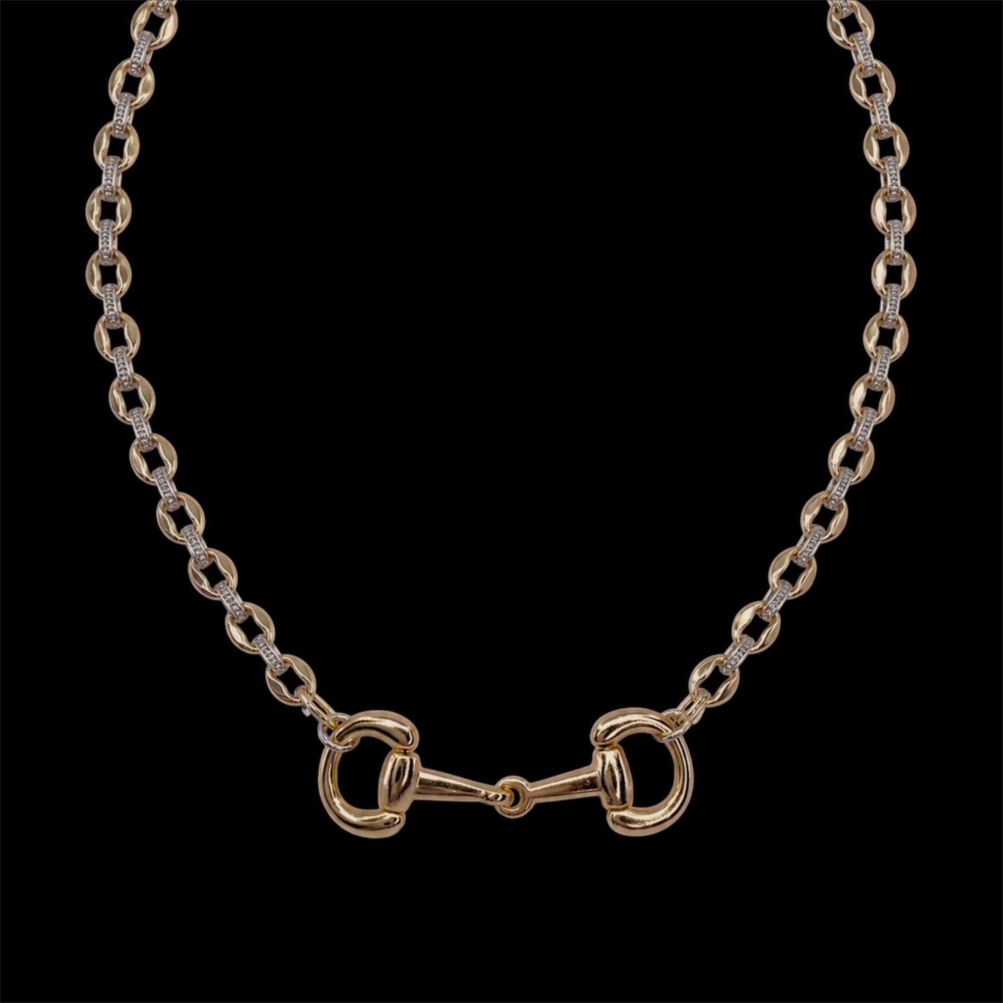 Mixed Metal Vintage Chain with Gold Large Gold Plated Horse-Bit